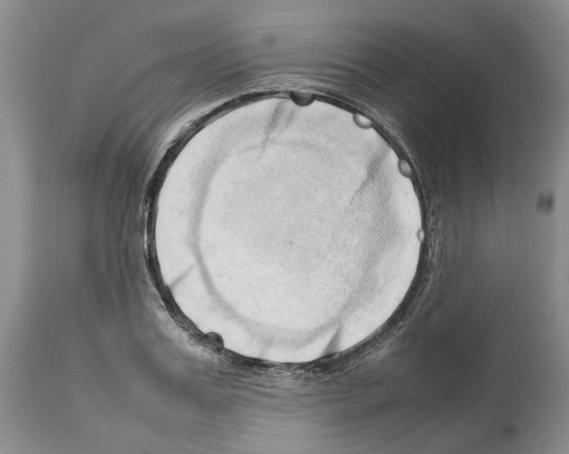 X0000114060987200911161125