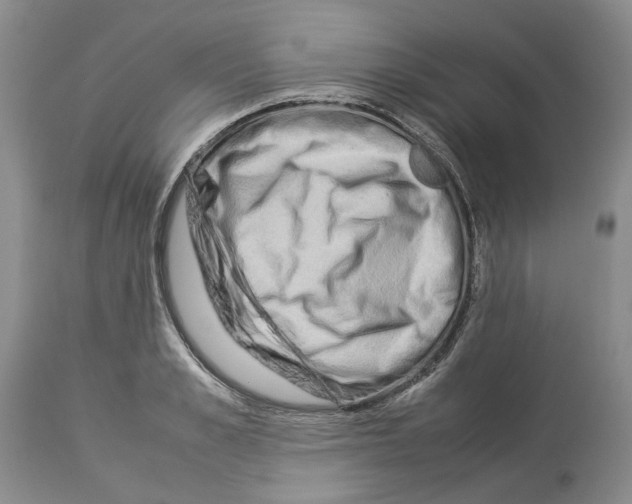 X0000114060989200911161124