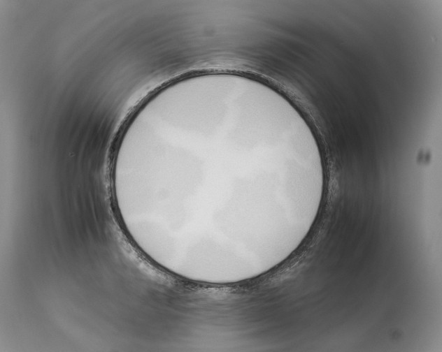 X0000114060990200911161124