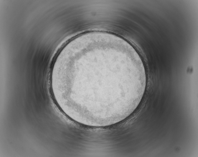 X0000114060992200911161124