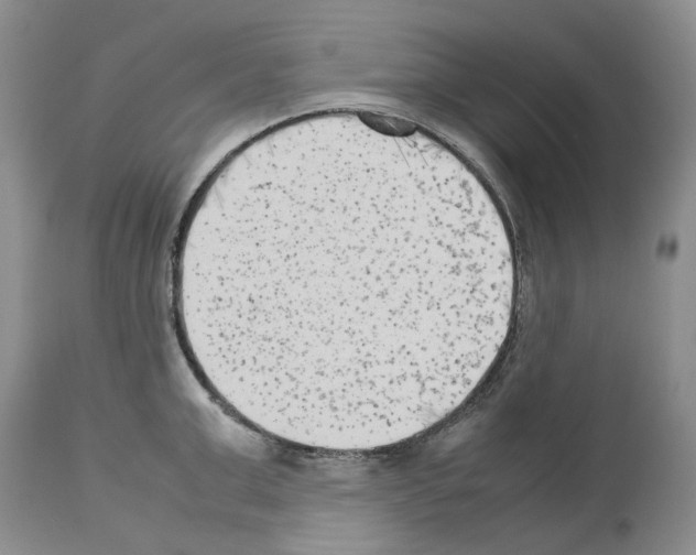 X0000114060999200911161124