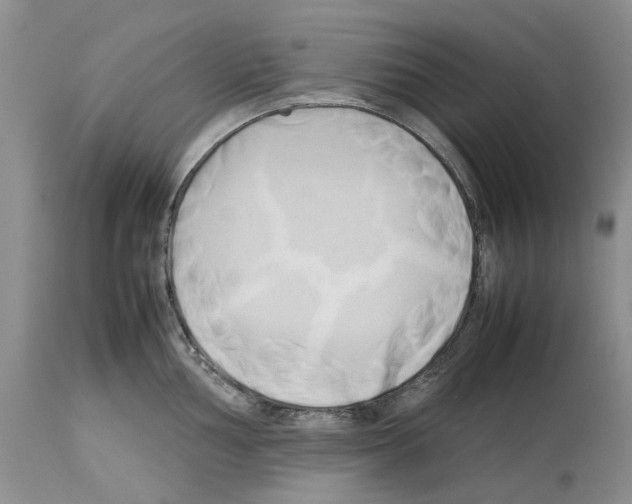 X0000114061002200911161124