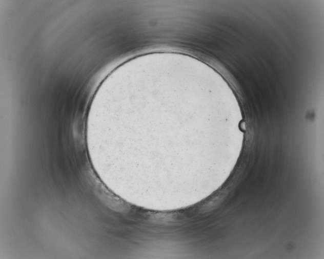 X0000114061004200911161124