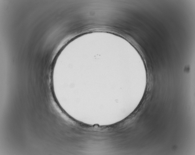 X0000114061005200911161124