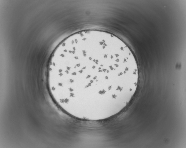 X0000114061007200911161124