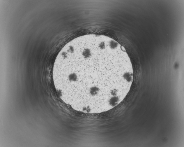 X0000114061010200911161123