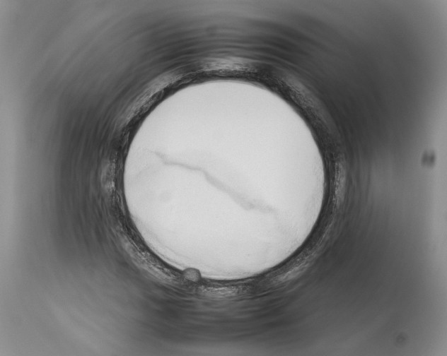 X0000114061017200911161124