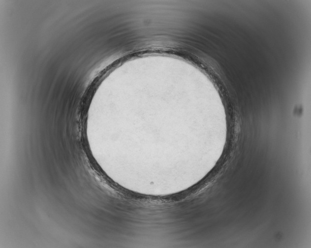 X0000114061018200911161124