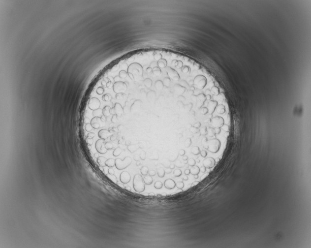 X0000114061020200911161124