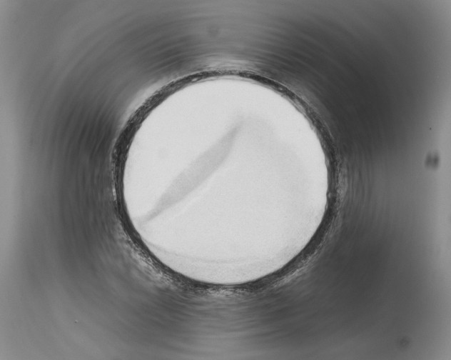 X0000114061022200911161124