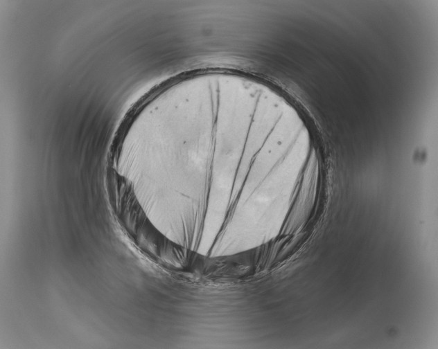 X0000114061024200911161124