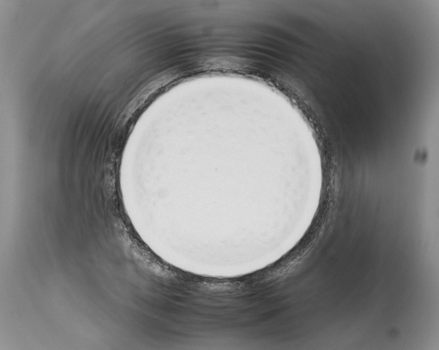 X0000114061025200911161124