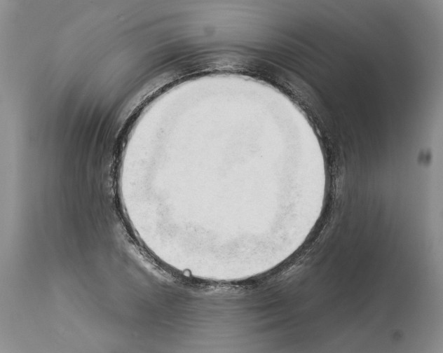 X0000114061026200911161124