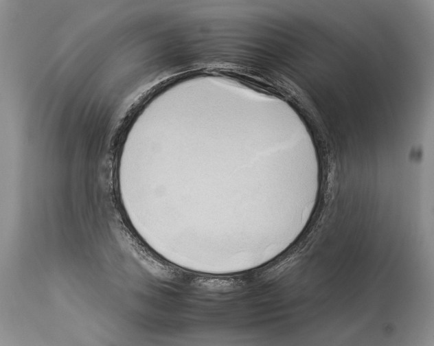 X0000114061027200911161124