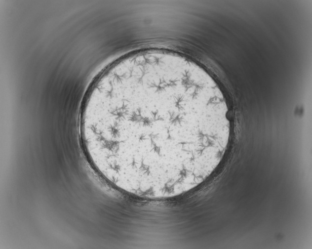 X0000114061028200911161124