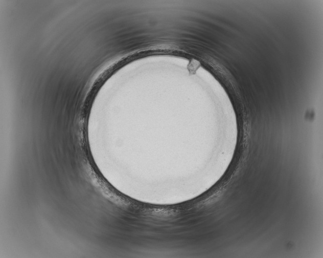 X0000114061029200911161124