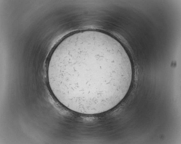 X0000114061031200911161124