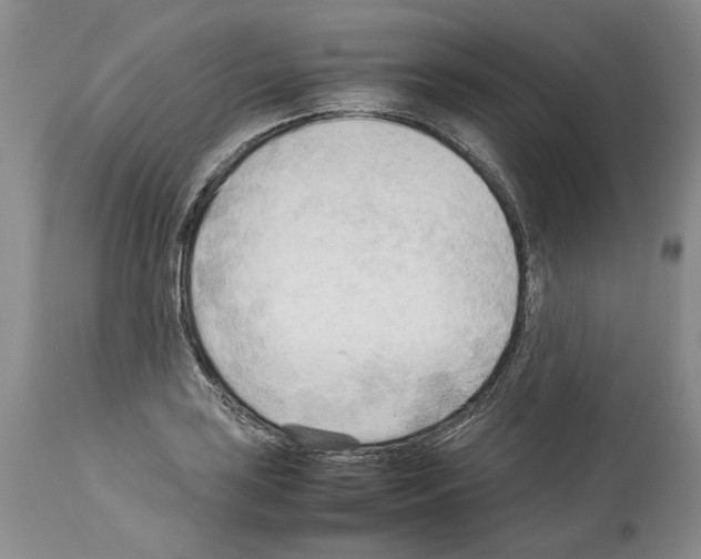 X0000114061035200911161124