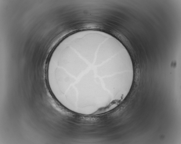 X0000114061039200911161124