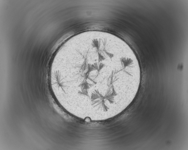 X0000114061042200911161124