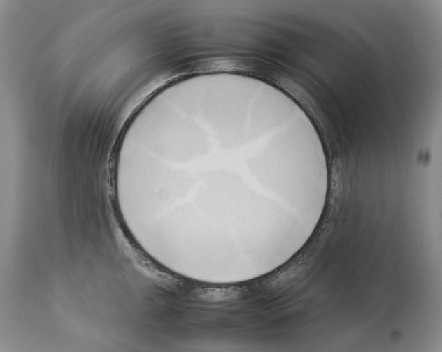 X0000114061047200911161124