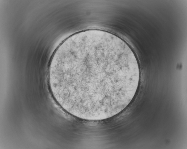 X0000114061048200911161124