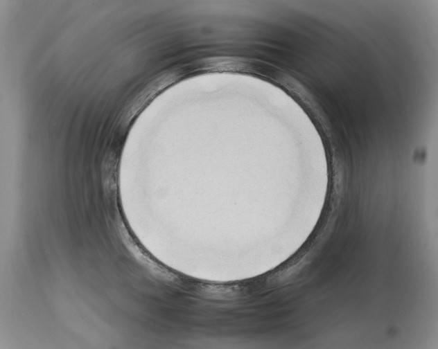 X0000114061049200911161124