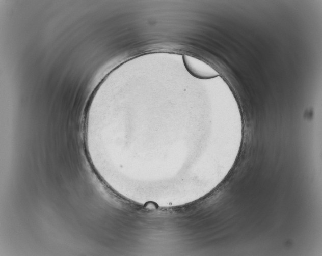 X0000114061050200911161124