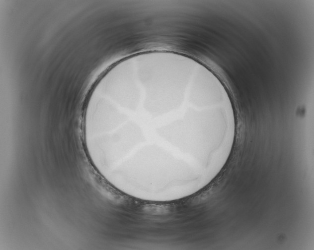 X0000114061051200911161124