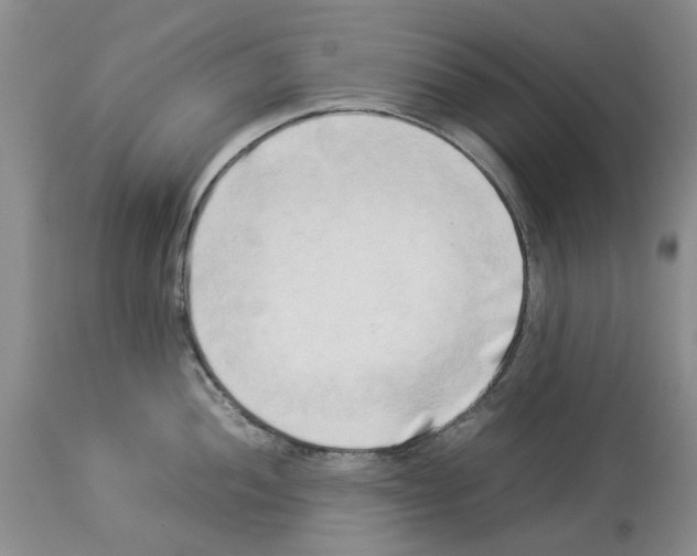 X0000114061052200911161124