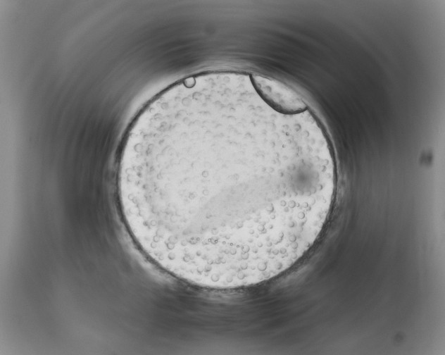 X0000114061053200911161124