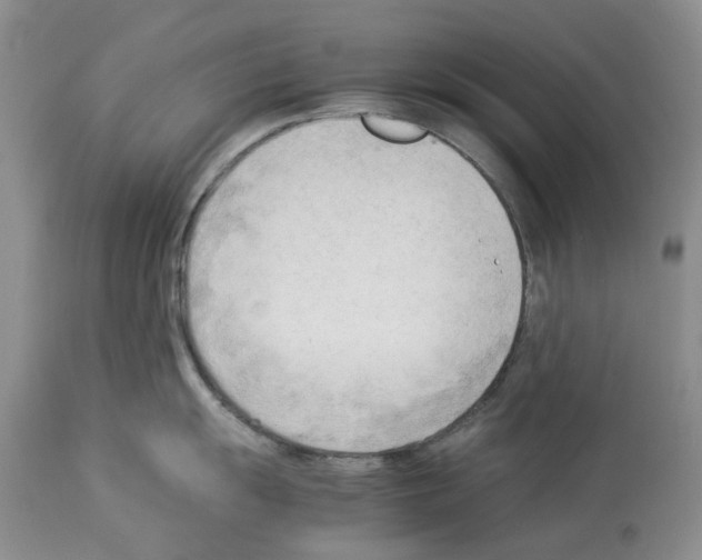 X0000114061055200911161124