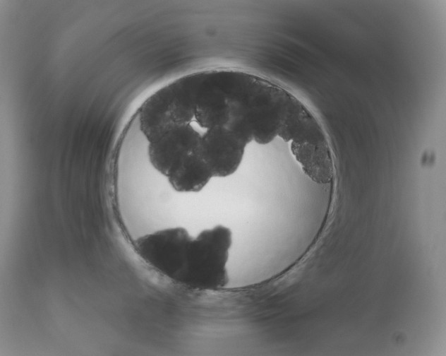 X0000114061056200911161124