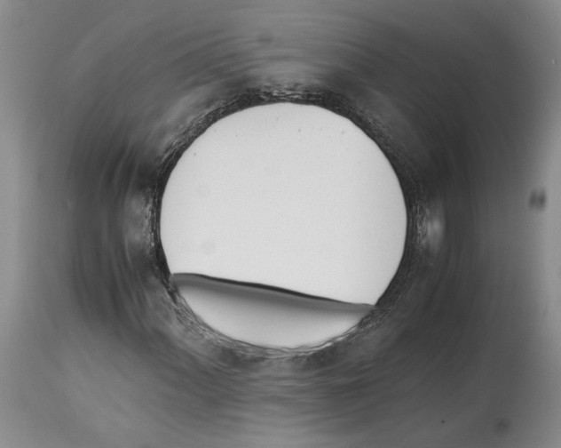 X0000114061060200911161123