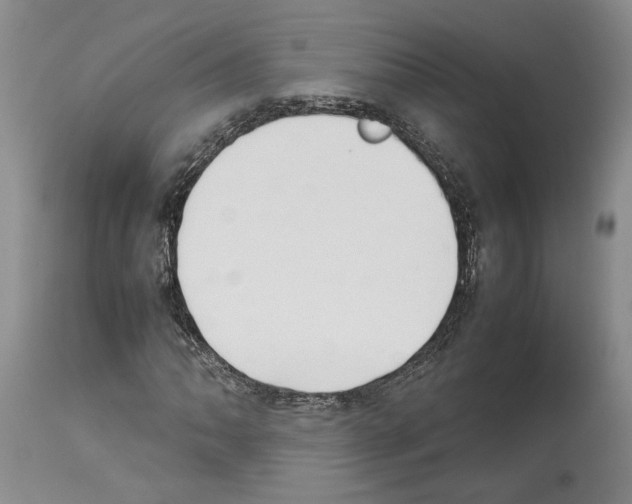 X0000114061062200911161123