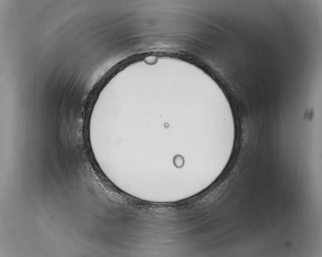 X0000114061066200911161123