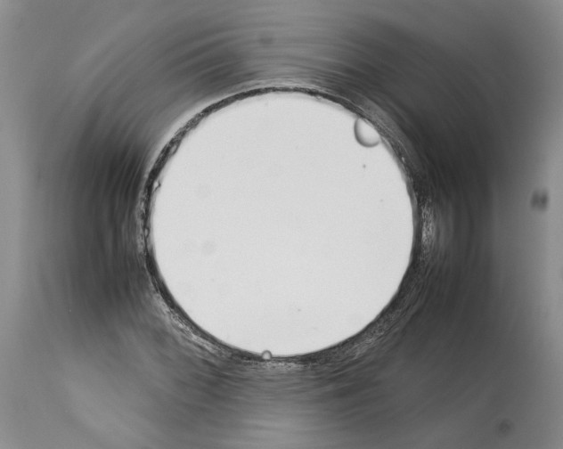 X0000114061068200911161123