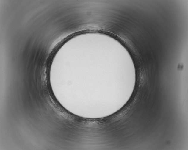 X0000114061070200911161123