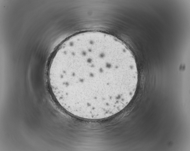 X0000114061071200911161123