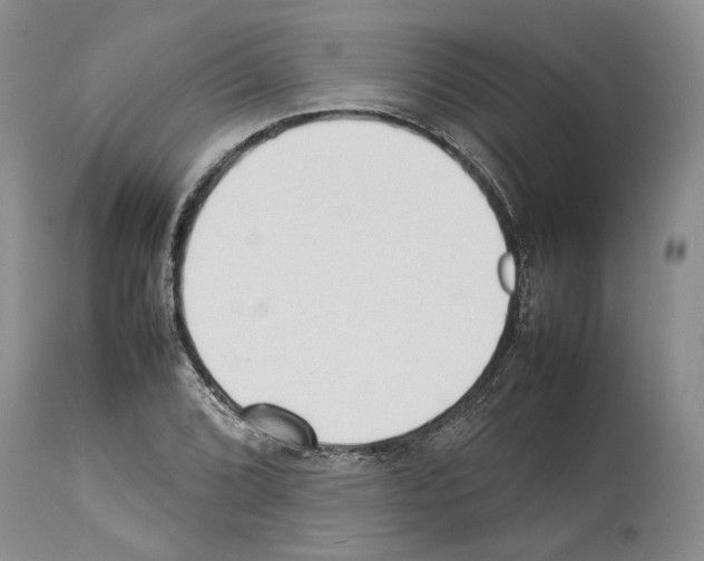 X0000114061072200911161123