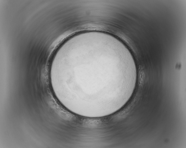 X0000114061074200911161123