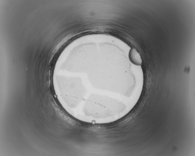 X0000114061075200911161123