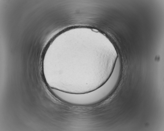 X0000114061077200911161123