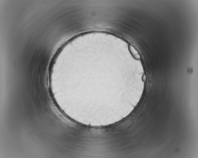 X0000114061080200911161123