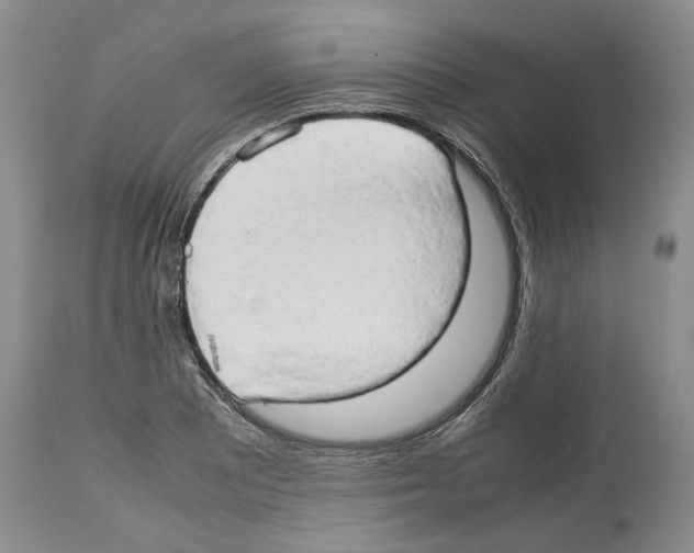 X0000114061081200911161123