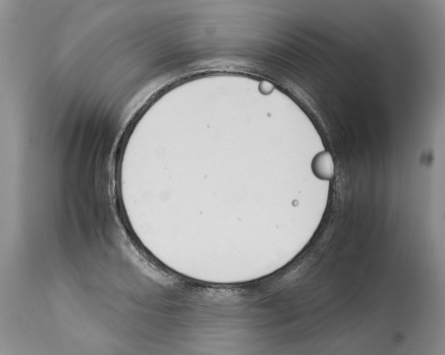 X0000114061082200911161123