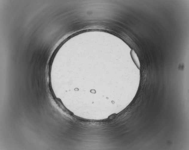 X0000114061084200911161123