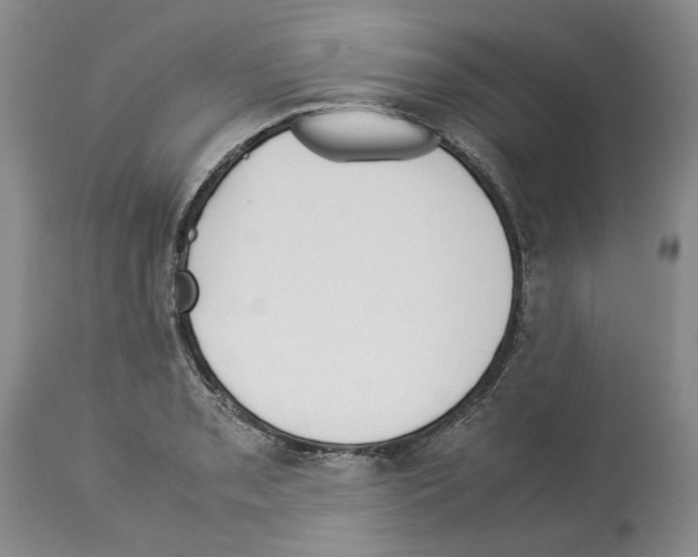 X0000114061085200911161123