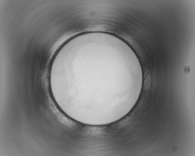 X0000114061086200911161123