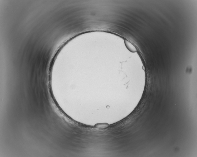 X0000114061088200911161123